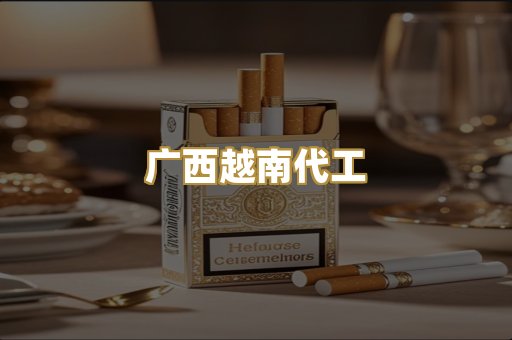 广西越南代工